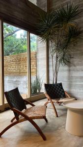 Nami - Casa Macu Saladita surf break