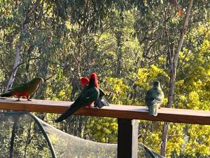 Country charm coastal living