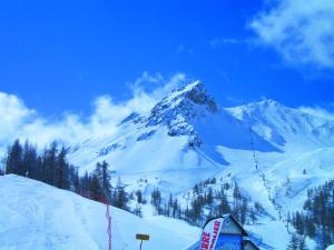 Appartements Pres des Forts : photos des chambres