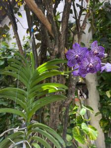 Rumah Pathuk Syariah Homestay