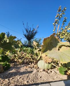 Kabaklı Turizm Amaçlı Konut
