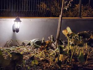 Kabaklı Turizm Amaçlı Konut