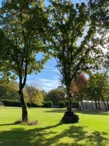 Glamping tent in oase van groen