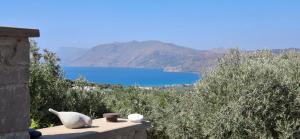 MariAdni Garden House