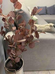 MYSTICOVE GAZI Acropolis view 3 minutes to metro Direct airport and port