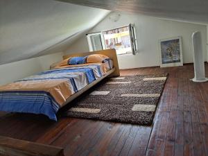 Gallery apartment Budva