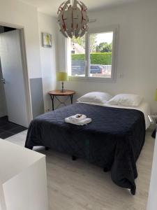 Maisons de vacances NPB Quimiac : photos des chambres