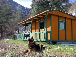 chalet-bungalow ombragé - Escaro