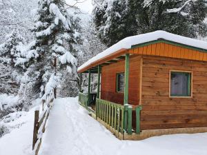 Campings chalet-bungalow ombrage : photos des chambres