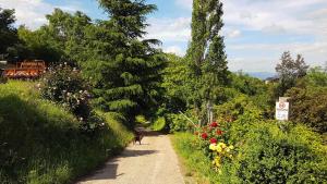 Campings chalet-bungalow ombrage : photos des chambres