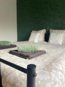 Maisons de vacances Gite de l impasse proche europa park : photos des chambres