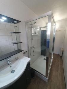 Appartements T2bis 4-6p spacieux, local velo prive, veranda : photos des chambres