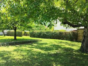 Finca Arep alquiler integro 6 Les Planes