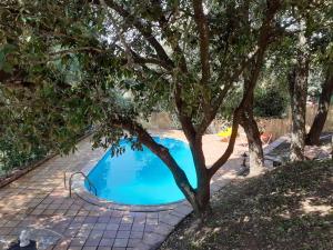 Begur Estudi en finca per a 4p Piscina Privada