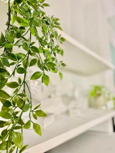 NISO Thessaloniki Hospitality Apartments