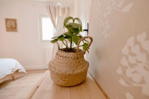 Appartements Charmante Maisonnette : photos des chambres