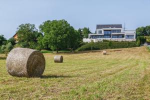 HIRUNDO- villa with saunas and hot tub 
