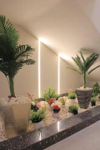 دوره التاج الوحيده فى المهندسين دوبلكس تحفه