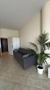 Апартаменты в комлексе Belvedere Residence Бечичи