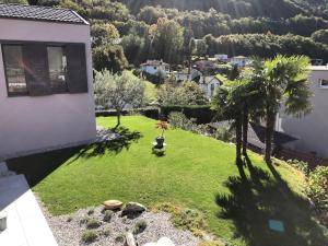 Sinergia e Benessere