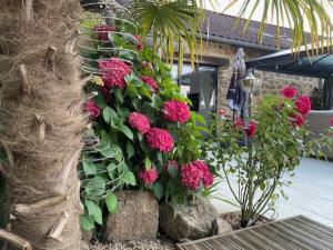 Maisons de vacances Lime Tree Farmhouse : Maison 3 Chambres