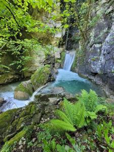Campings Le Drevenne : photos des chambres