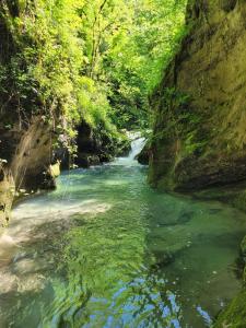 Campings Le Drevenne : photos des chambres