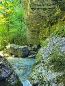 Campings Le Drevenne : photos des chambres