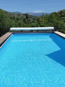 L'AMANDIER -LE FIGUIER-LES LAURIERS ROSES - Villanova