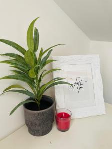 Apartman Tizianova near centar 