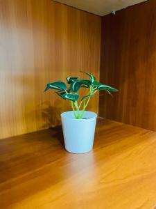 Apartman Tizianova near centar