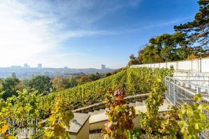 Luxury apartment with terrace and garage