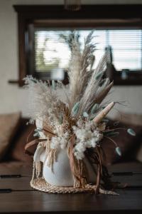 LAGUNA SPA šeimos poilsio namai