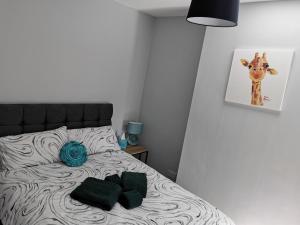 Cosy, comfortable home close to city centre