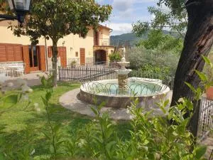 B&B Il Mandorlo - Cegliolo