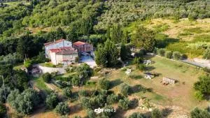 Florence Villa Violetta - Ellera