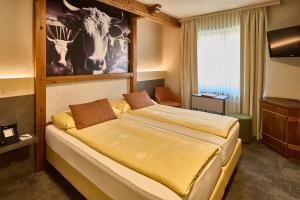 Standard Double Room room in Hotel Central Wolter - Grindelwald