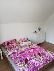 Cracow house under walnut tree