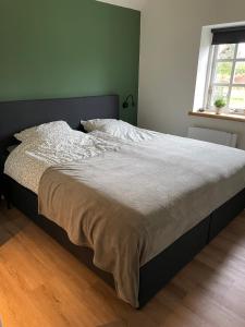 Appartementen Chaamse Bossen met tuin