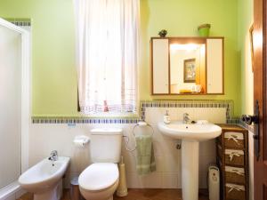 Live Arico El Mirador