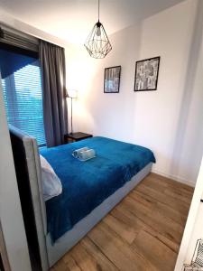 AlfaHome Kopcińskiego