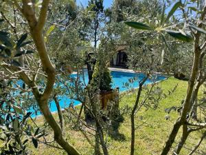 Maisons de vacances Gite au coeur de la Provence & SPA : photos des chambres