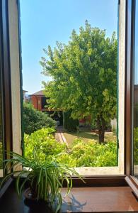 Corte LOvo - Country House 15 minutes from the heart of Verona