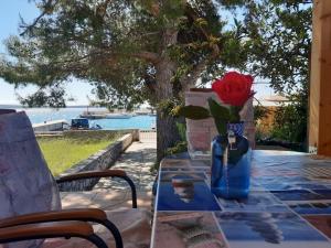 House ViEn - Ubytování bez kategorie ve městě Nerezine