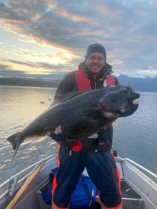 Evenes Artic glamping