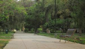 Apto de Lujo con Vista Panorámica a Campo Marte