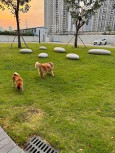 Comfortable Room in Phnom Penh