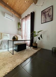 Appartements Studio RDC terrasse , climatise, tout confort : photos des chambres