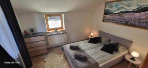 Domek w Murzasichlu z kominkiem