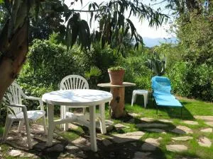 studio eucalyptus - Tox